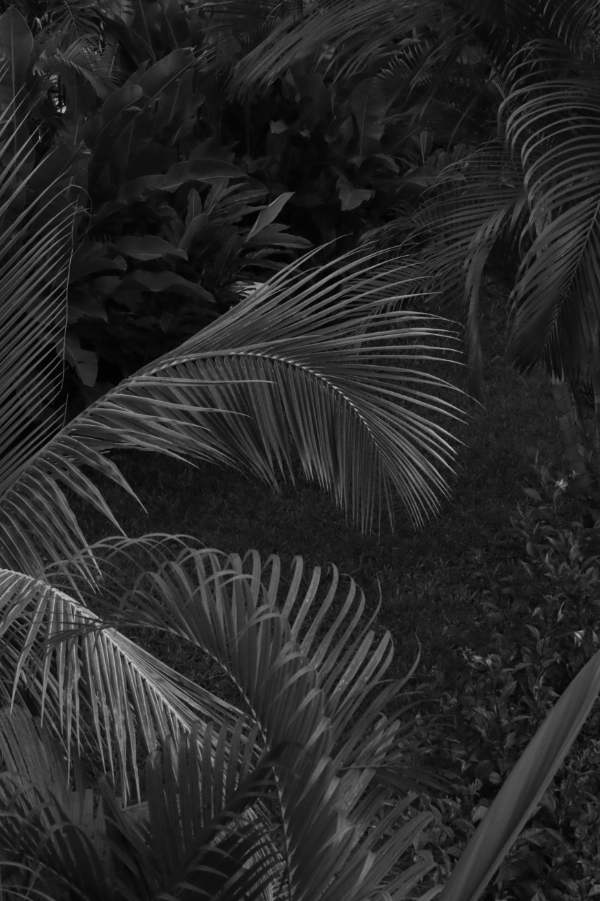 2015 08 31 HTP 03836